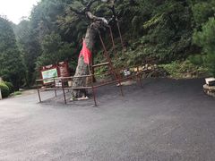 -藏山旅游风景区
