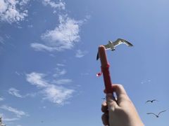 -星海广场