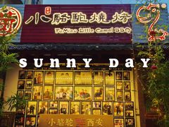 -福苗小骆驼烧烤(莲湖路店)