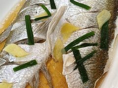 清蒸白鱼-观桥阁(锦溪店)