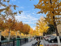 -闸弄口(地铁站)