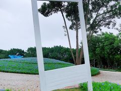 -海上田园