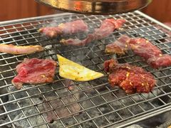 -奥西拉烤肉,盒饭,冷面(青岩刘店)