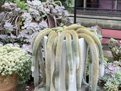 -山菌美食苑(振兴路店)