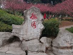-重庆彩云湖湿地公园