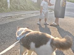 -火炉山森林公园