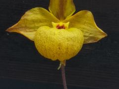 -北京植物园-展览温室