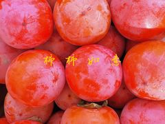 -西郊国际农产品交易中心