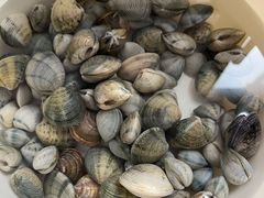 -红树林天天赶海