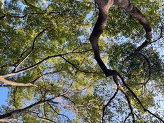 -徐家汇源景区-衡山公园