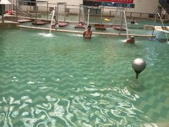 -龙脉温泉室内游泳馆