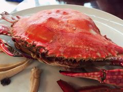 梭子蟹-小铜锣湾海鲜家常菜馆(河西店)