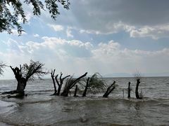 -捞渔河湿地公园