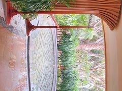 -碧水湾温泉