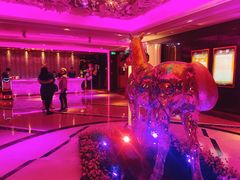 -纯K(打浦桥店)