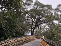 -福道