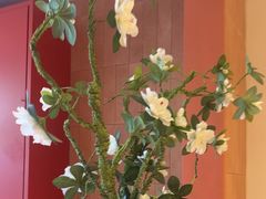 -姥姥家春饼店(惠新东街店)