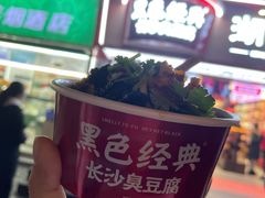 -黑色经典臭豆腐·湖南特产(坡子街店)