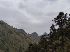 -碧峰峡风景区
