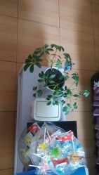 -本真坊美容美体沙龙