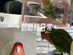 -立德异宠动物医院.兔鸟爬.内窥镜(天河店)