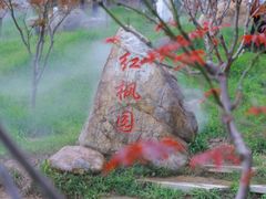 -广州市帽峰山景区
