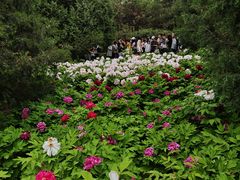 -太阳宫公园