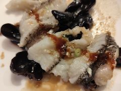 古法蒸老虎斑-利苑酒家(金宝店)