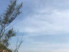 -南丫岛