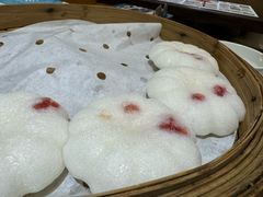 -洞庭渔人(沙湾店)