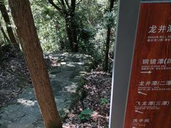 -花岩国家森林公园