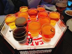 -Boxing Cat Brewery拳击猫精酿啤酒馆(永福店)