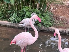 -灵玲国际马戏城