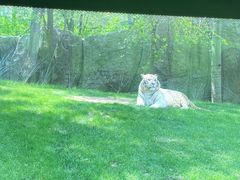 -北京野生动物园