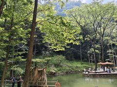 -牛背梁国家森林公园