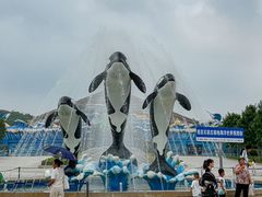 -石家庄极地海洋世界