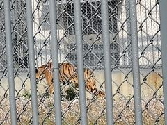 -苏州上方山国家森林公园