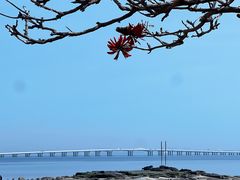 -集美学村