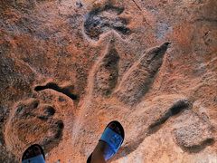 -湖南省地质博物馆