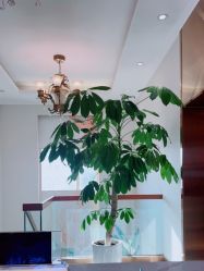 -私家美林护肤造型