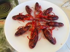 -红盔甲·小龙虾(天钥桥店)