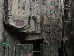 -铁山坪森林公园