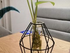 -万达广场(渭南高新店)