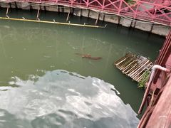 -金穗园温泉酒店