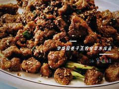 -华盛园卷子王农家菜水库鱼