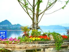 -千岛湖城中湖游船码头