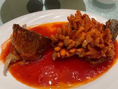 松鼠桂鱼-亢龙太子酒轩·花园店