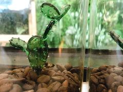 -无牌咖啡&酒馆