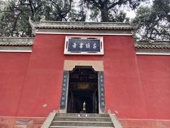 -子昂故里文化旅游区