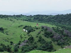 -大姆山草场